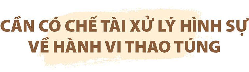 Đấu giá đất để đầu cơ, đẩy giá: Chế tài chưa đủ răn đe?