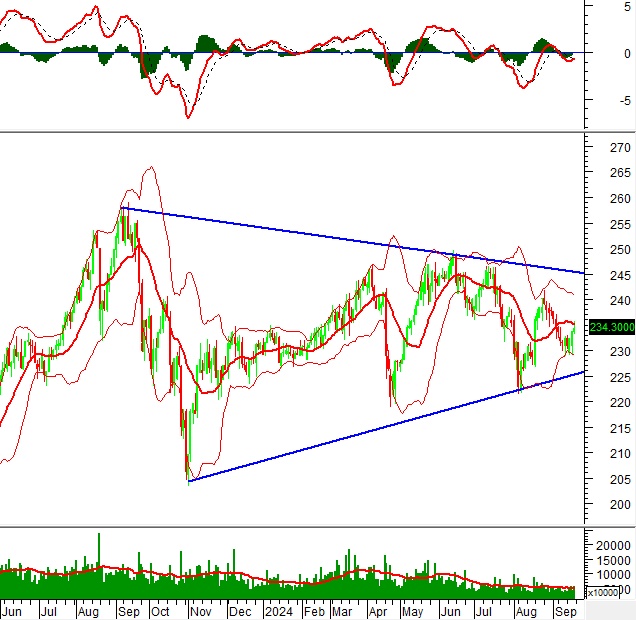 Phân tích kỹ thuật chứng khoán Việt Nam: Tuần 23-27/09/2024