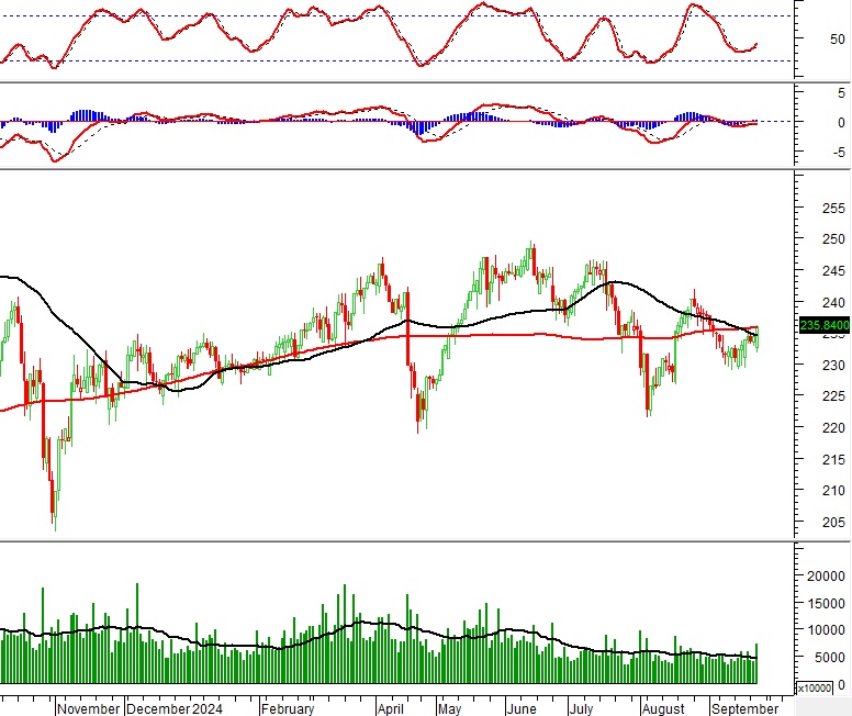 Vietstock Daily 26/09/2024: Tiếp nối đà tăng