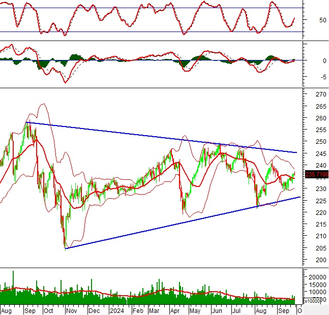 Vietstock Weekly 30/09-04/10/2024: Hướng đến đỉnh cũ tháng 7&8/2024