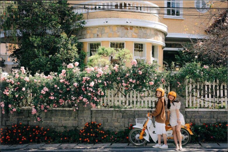 Top 9 con đường đẹp mê ly cho người mê xê dịch tại Đà Lạt, có nơi gắn liền với tên tuổi "ngọc nữ làng giải trí"