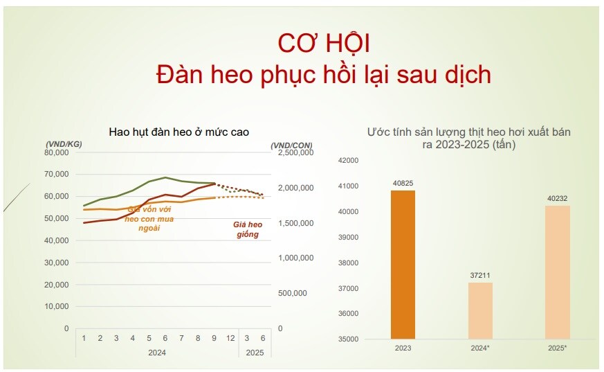 Thách thức cũng là cơ hội, BAF đã làm gì để đón đầu làn sóng chăn nuôi sắp tới?