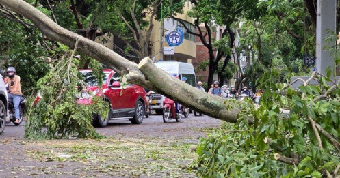 Đề xuất giảm tiền thuê đất tại 26 tỉnh thành