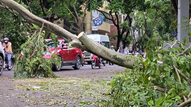 Đề xuất giảm tiền thuê đất tại 26 tỉnh thành