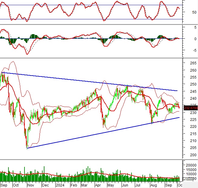 Phân tích kỹ thuật chứng khoán Việt Nam: Tuần 07-11/10/2024