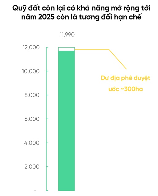 Đã đến lúc đầu tư PHR, VHC và DGC?