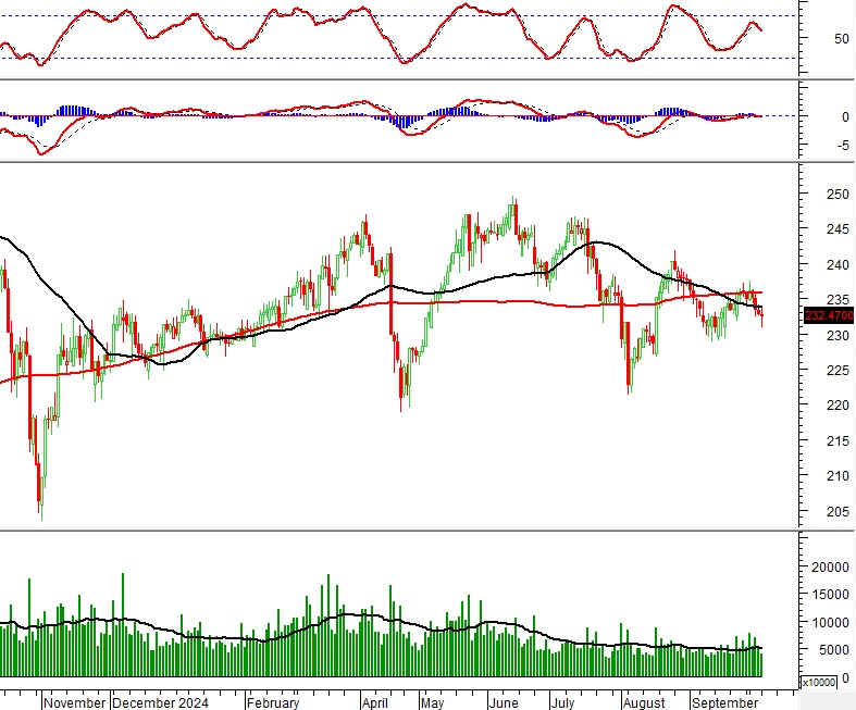 Vietstock Daily 08/10/2024: Triển vọng ngắn hạn tiếp tục bi quan