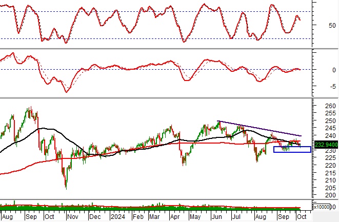 Phân tích kỹ thuật phiên chiều 07/10: Tâm lý phân vân chi phối thị trường
