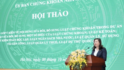 Sửa Luật Chứng khoán: Bỏ đề xuất quy định nhà đầu tư chuyên nghiệp phải giao dịch 10 lần mỗi quý