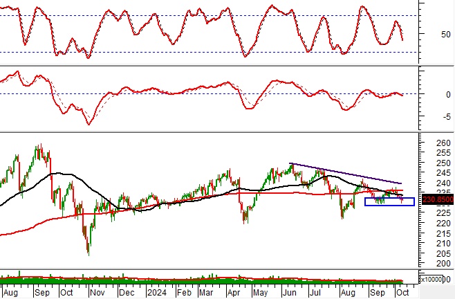 Phân tích kỹ thuật phiên chiều 09/10: Thị trường diễn biến phân hóa