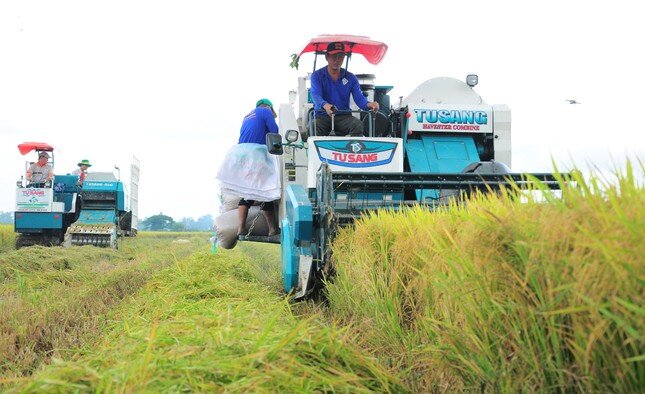 Việt Nam chi gần 1 tỷ USD nhập khẩu gạo: 'Không có gì to tát, lo ngại'