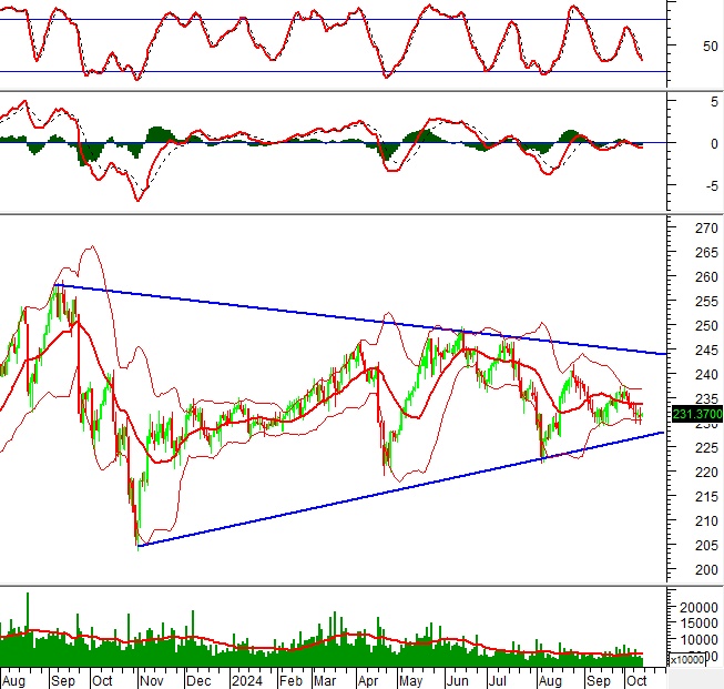 Phân tích kỹ thuật chứng khoán Việt Nam: Tuần 14-18/10/2024