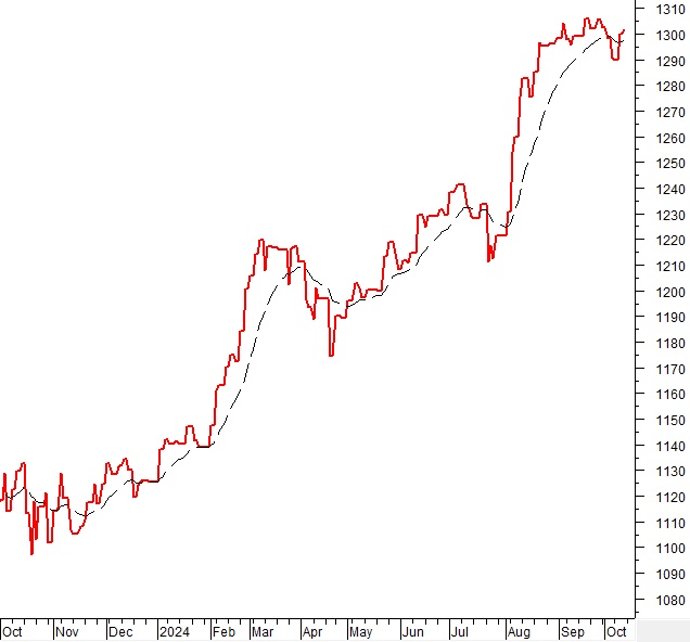 Phân tích kỹ thuật chứng khoán Việt Nam: Tuần 14-18/10/2024