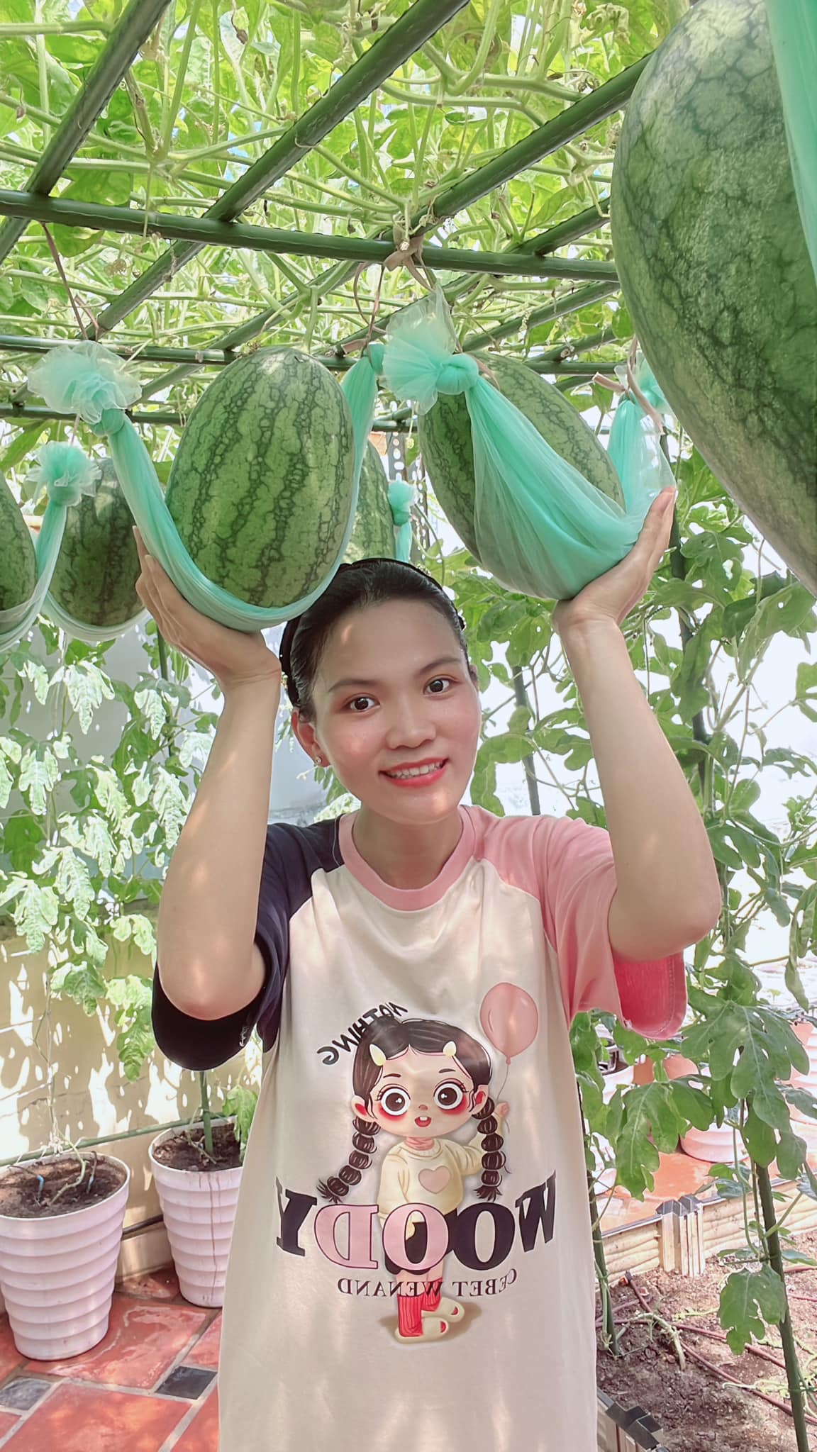 Mẹ đảm Sài Gòn làm vườn dưa hấu trên sân thượng 50m2, chia sẻ cách trồng cực chi tiết cho quả to đều
