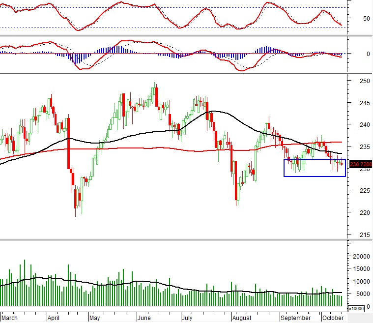 Vietstock Daily 15/10/2024: Tiếp tục rung lắc
