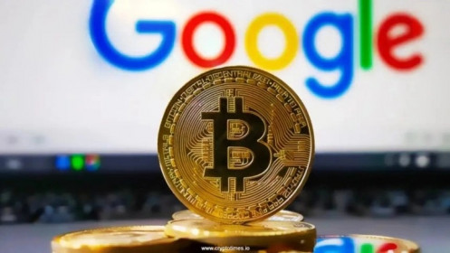 Bitcoin "rớt" top tìm kiếm Google, memecoin lên ngôi