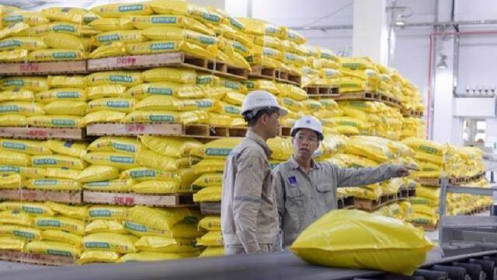 Áp thuế VAT 5% đối với mặt hàng phân bón: Cần đảm bảo hài hòa lợi ích giữa “ba nhà”