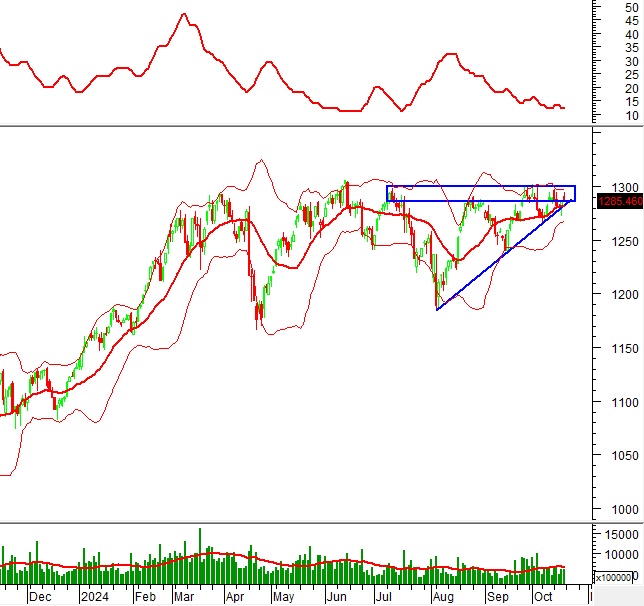Phân tích kỹ thuật chứng khoán Việt Nam: Tuần 21-25/10/2024