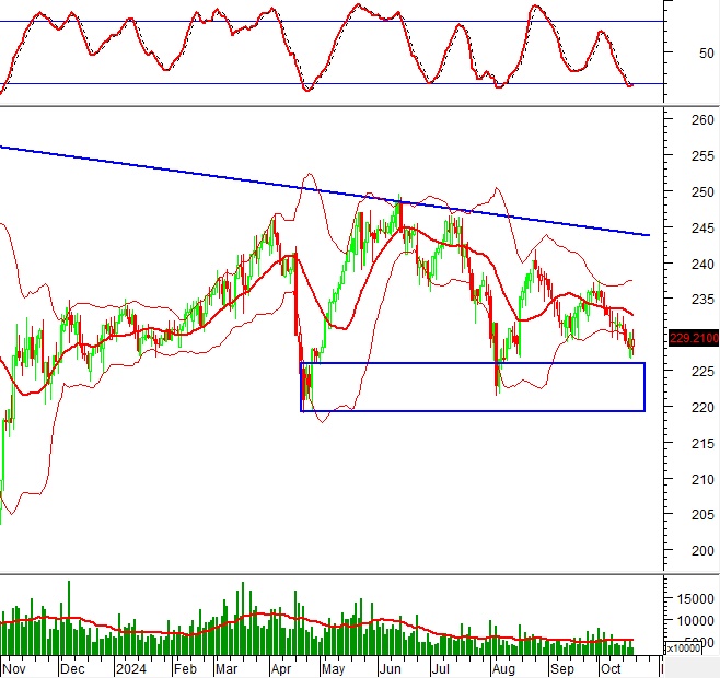 Phân tích kỹ thuật chứng khoán Việt Nam: Tuần 21-25/10/2024