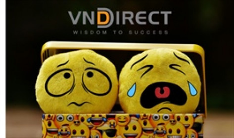 VNDIRECT liên tục mất thị phần, lợi nhuận từ môi giới ngày một vơi