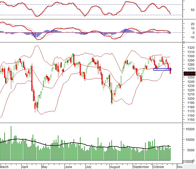 Vietstock Daily 25/10/2024: Nhiều tín hiệu tiêu cực xuất hiện?