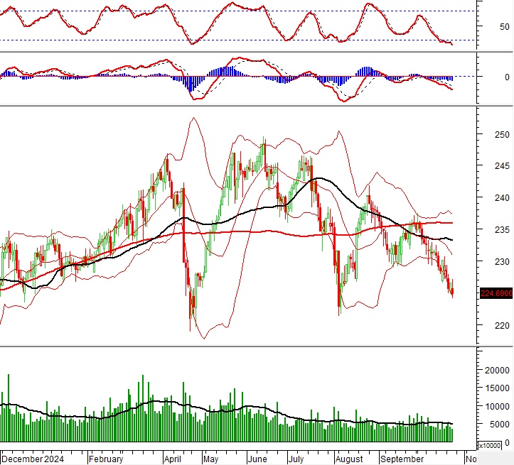 Vietstock Daily 25/10/2024: Nhiều tín hiệu tiêu cực xuất hiện?