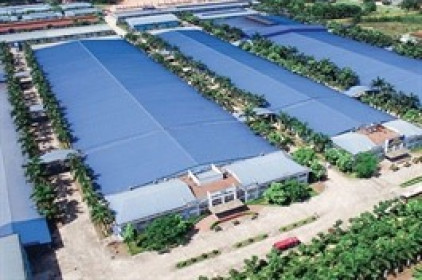 Lãi ròng giảm 15%, IDV vẫn vượt kế hoạch lợi nhuận niên độ 2024