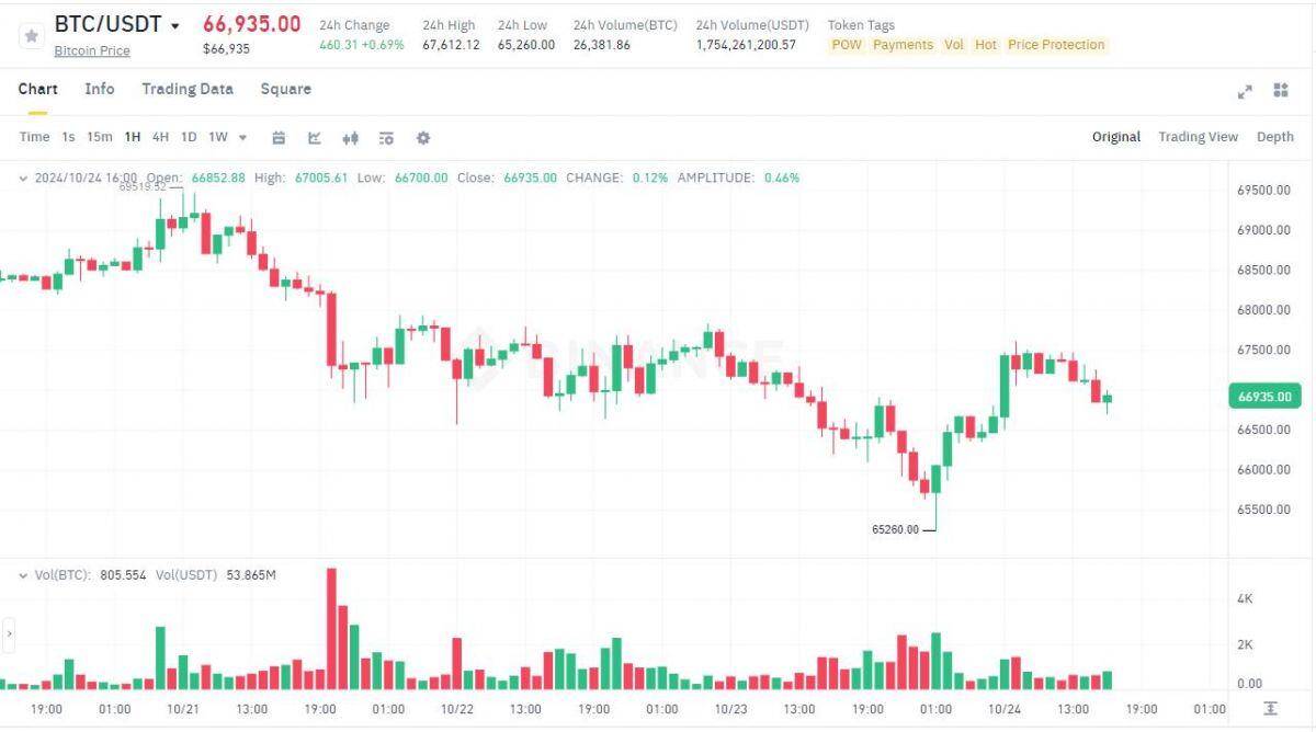 Số ví "cá voi" Bitcoin đạt mức cao kỷ lục kể từ tháng 01/2021