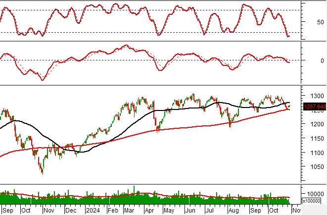 Phân tích kỹ thuật phiên chiều 30/10: Thị trường diễn biến phân hóa