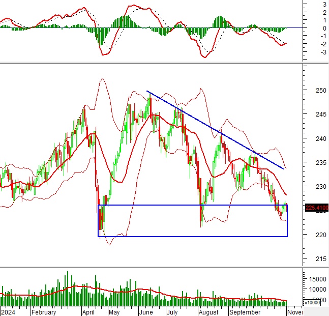 Phân tích kỹ thuật chứng khoán Việt Nam: Tuần 04-08/11/2024