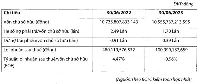 Điện tái tạo Trung Nam lỗ nặng năm 2023