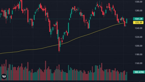 Dòng tiền đổ vào sàn, cổ phiếu đua giá, VN-Index tăng mạnh nhất 7 tuần