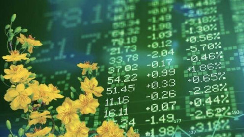 Chuyên gia: Tháng 11 luôn là cơ hội tốt nhất để mua cổ phiếu đón "sóng ăn Tết"