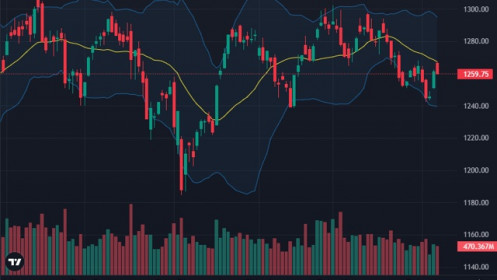 Hàng bắt đáy xả, cổ phiếu nhỏ giữ giá tốt