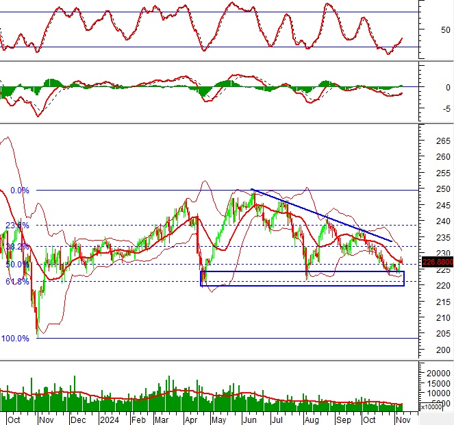 Phân tích kỹ thuật chứng khoán Việt Nam: Tuần 11-15/11/2024