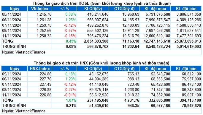 Vietstock Daily 12/11/2024: Nhà đầu tư tăng cường bắt đáy