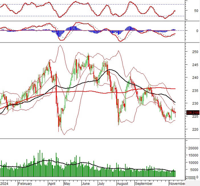 Vietstock Daily 14/11/2024: Tâm lý bi quan đã giảm bớt