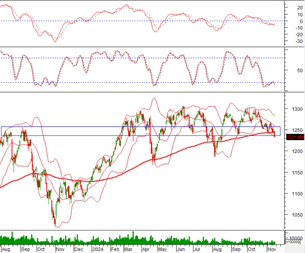 Vietstock Daily 15/11/2024: Nhiều tín hiệu tiêu cực xuất hiện