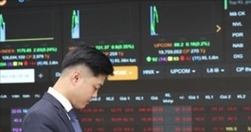 Dragon Capital: P/E thấp có thể giúp VN-Index "đứng vững" trước sóng gió từ Trump