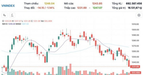 VN-Index 'rơi' 14 điểm