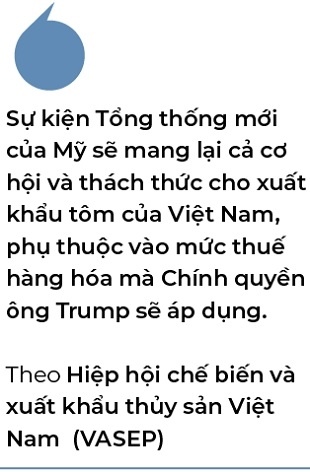 Xuất khẩu tôm Việt sang Mỹ sẽ thế nào dưới thời ông Trump?