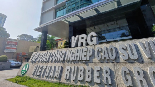 Mắc lỗi sao chép số liệu, GVR phải đính chính báo cáo tài chính hợp nhất quý 3/2024