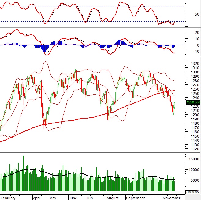 Vietstock Daily 22/11/2024: Tiếp nối đà tăng?