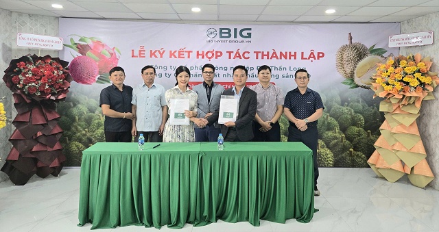 BIG được UBCKNN chấp thuận phát hành cổ phiếu chia cổ tức, ngày đăng ký cuối cùng là 04/12