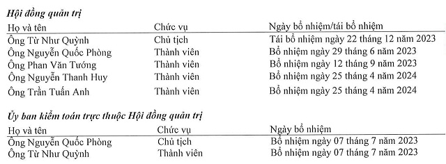 Lãnh đạo doanh nghiệp liên quan đến vụ thu hồi đất ở Bãi Sau Vũng Tàu ồ ạt từ nhiệm