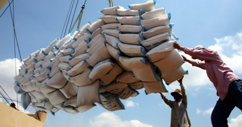 Nhu cầu gạo của Trung Quốc là rất lớn