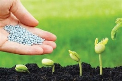 Nhu cầu phân bón trong nước dự kiến tăng mạnh, VAT phân bón tạo lợi thế cho doanh nghiệp nội