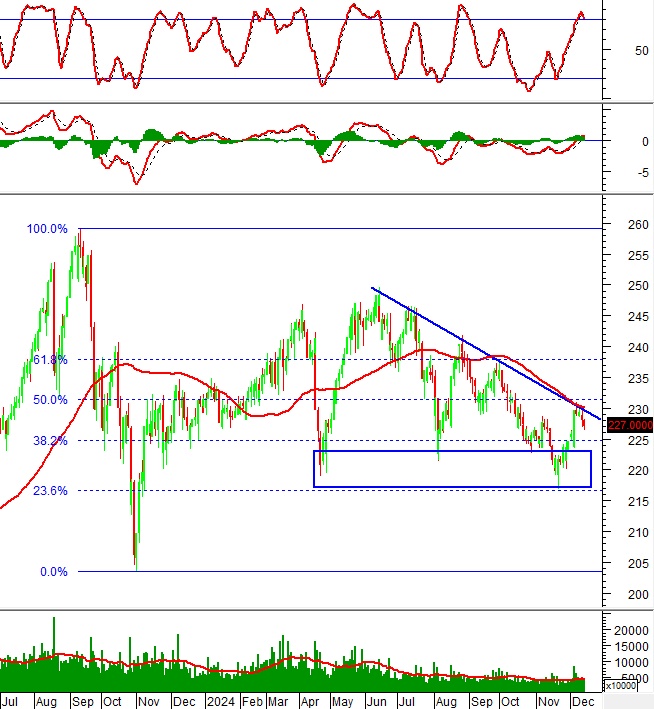 Vietstock Weekly 16-20/12/2024: Vẫn còn tiềm ẩn rủi ro