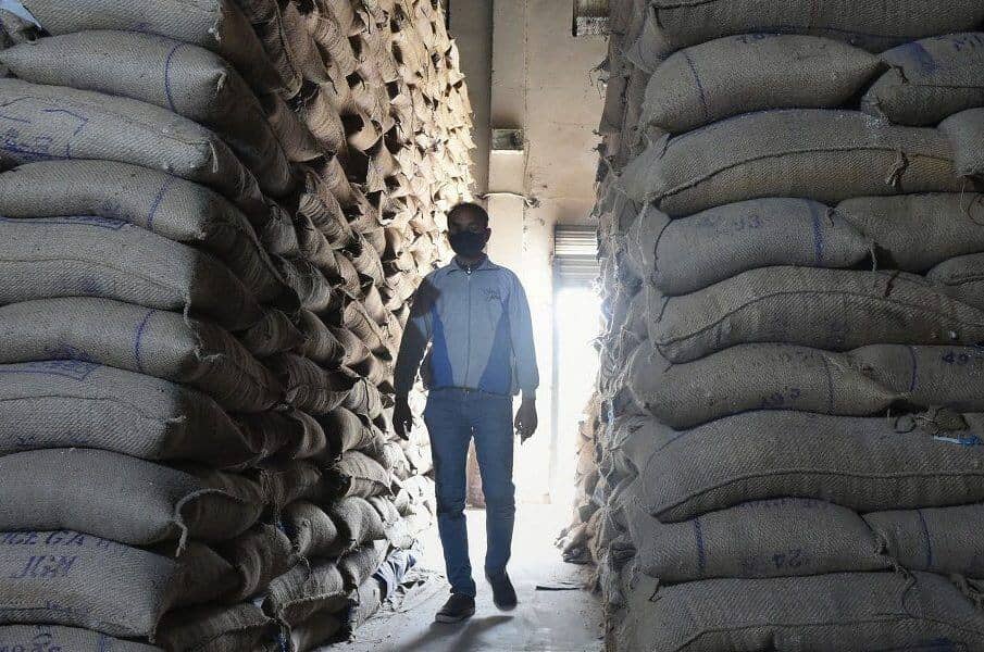 Nguồn cung lớn từ Ấn Độ tiếp tục gây áp lực lên giá gạo năm 2025