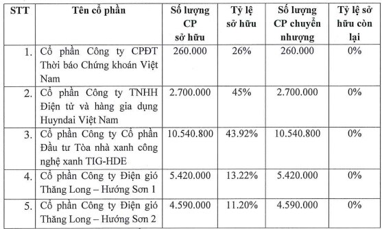 TIG muốn thoái toàn bộ vốn tại 5 công ty liên kết, hoãn phát hành cổ phiếu trả cổ tức